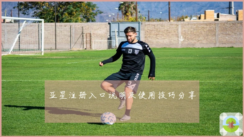 亚星注册入口说明及使用技巧分享