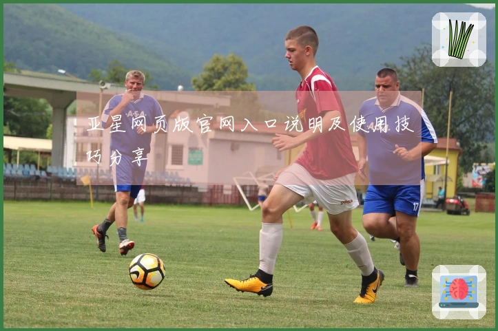 亚星网页版官网入口说明及使用技巧分享